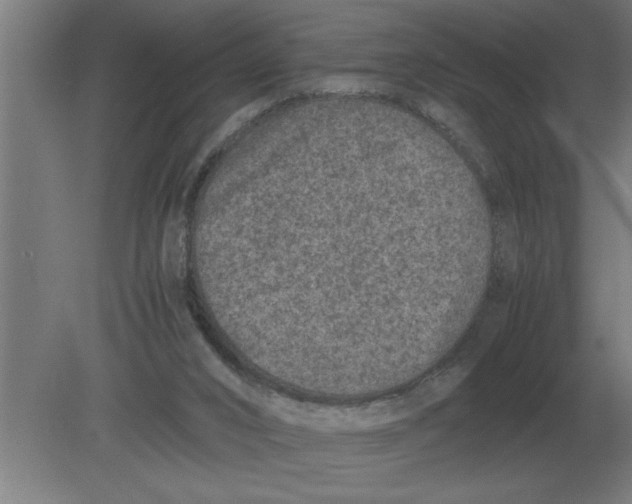 X0000080110016200612301955