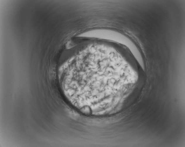 X0000080110017200612301955