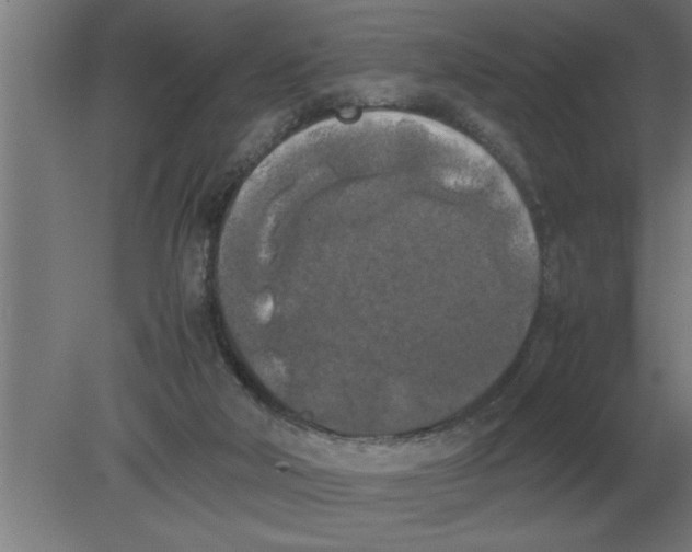 X0000080110018200612301955