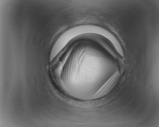 X0000080110019200612301955