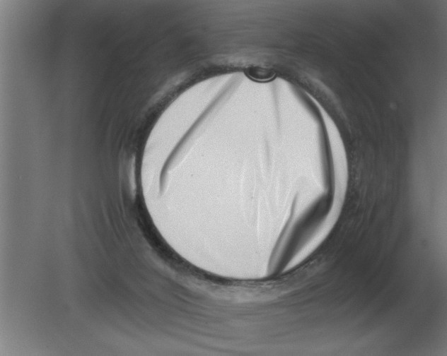 X0000080110020200612301955