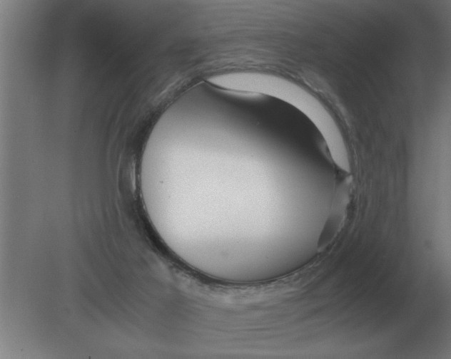 X0000080110021200612301955