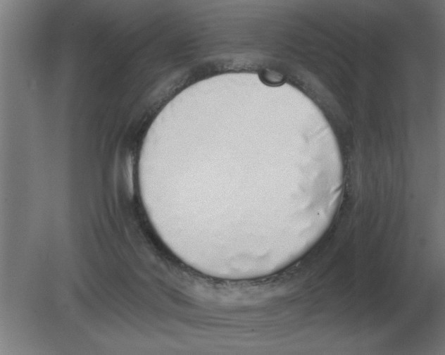 X0000080110022200612301955