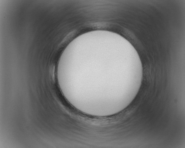 X0000080110024200612301955