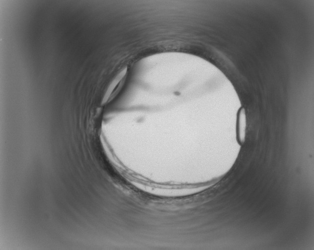 X0000080110025200612301955