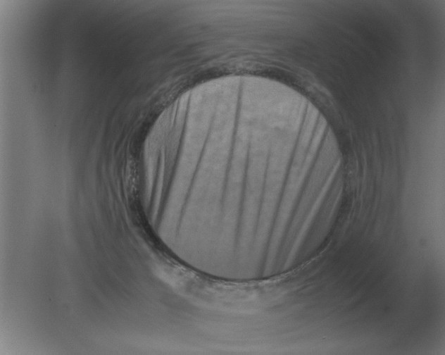 X0000080110029200612301955