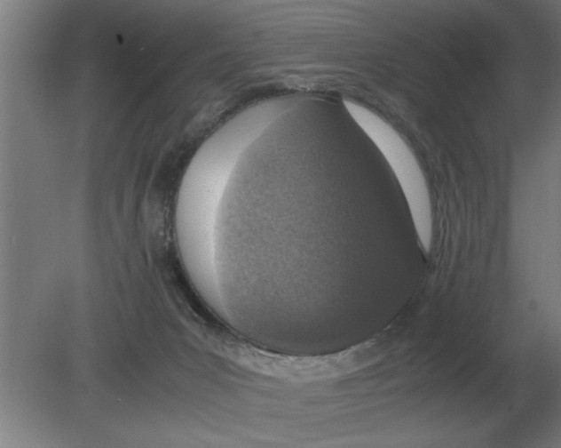 X0000080110031200612301955