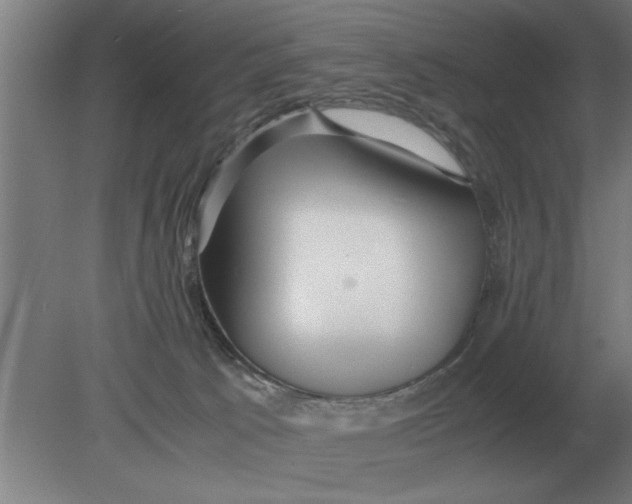 X0000080110033200612301955