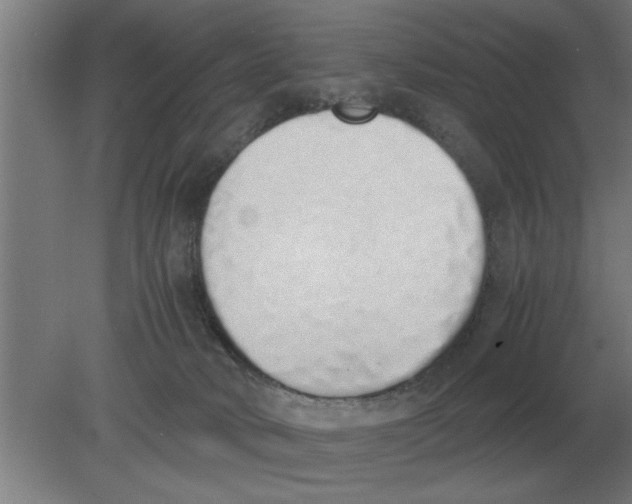 X0000080110034200612301955