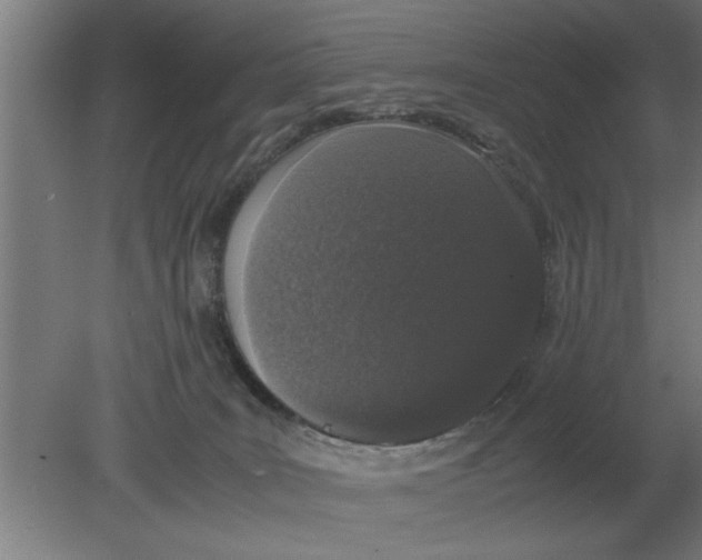 X0000080110035200612301955