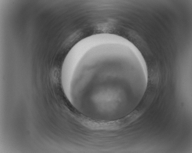 X0000080110036200612301955