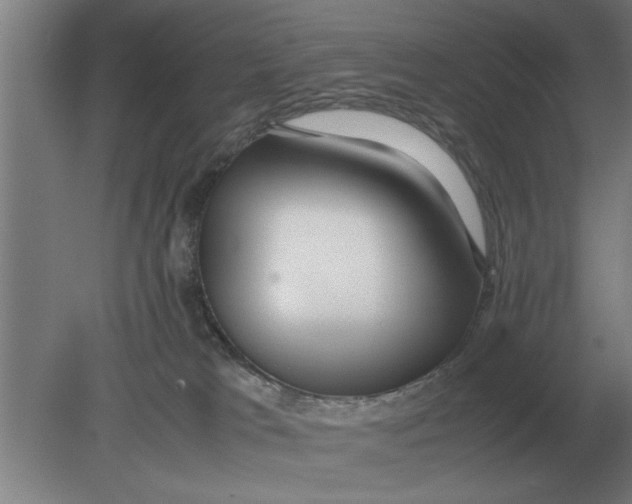 X0000080110037200612301955