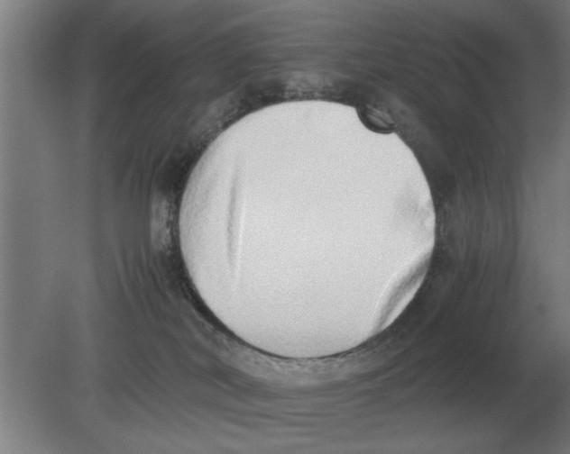 X0000080110038200612301955