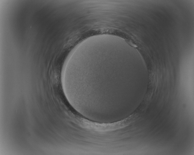 X0000080110039200612301955