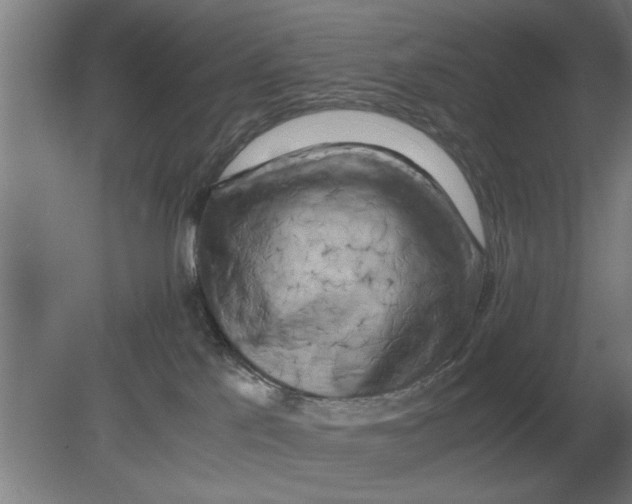 X0000080110041200612301955