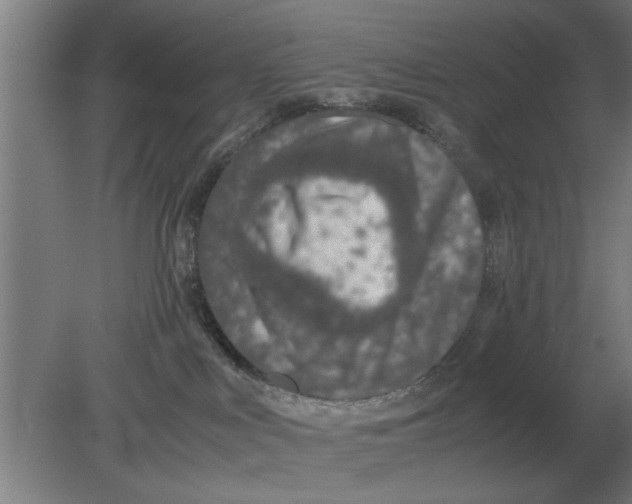 X0000080110043200612301955