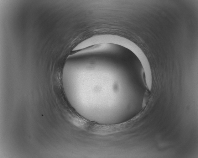 X0000080110045200612301955