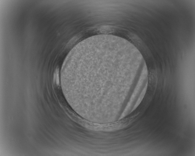 X0000080110046200612301955