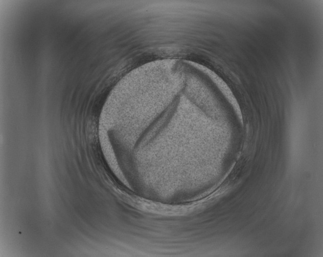 X0000080110048200612301955