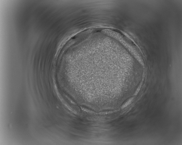 X0000080110049200612301954