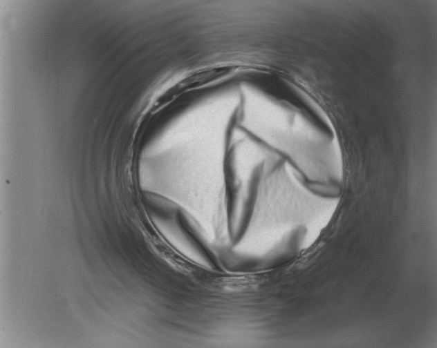 X0000080110050200612301954