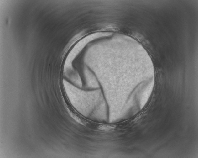 X0000080110051200612301954