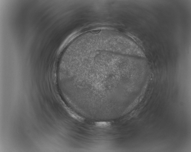 X0000080110053200612301954