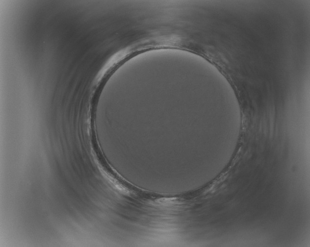 X0000080110054200612301954