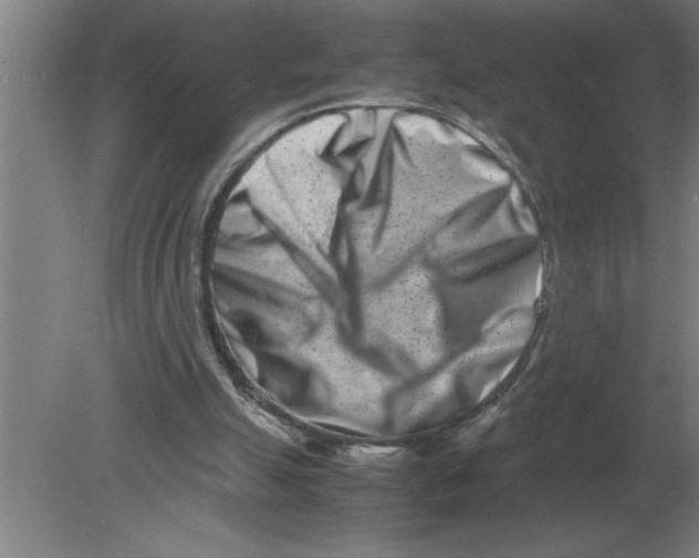 X0000080110055200612301954