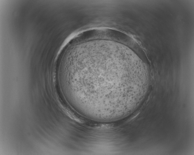 X0000080110056200612301954