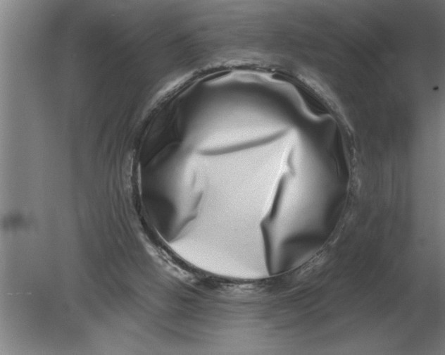 X0000080110058200612301954