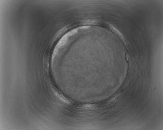 X0000080110059200612301954