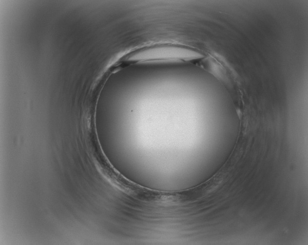 X0000080110060200612301954