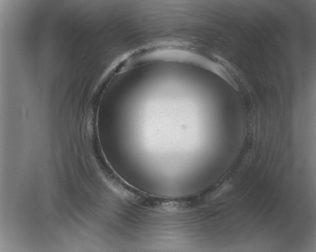 X0000080110064200612301954