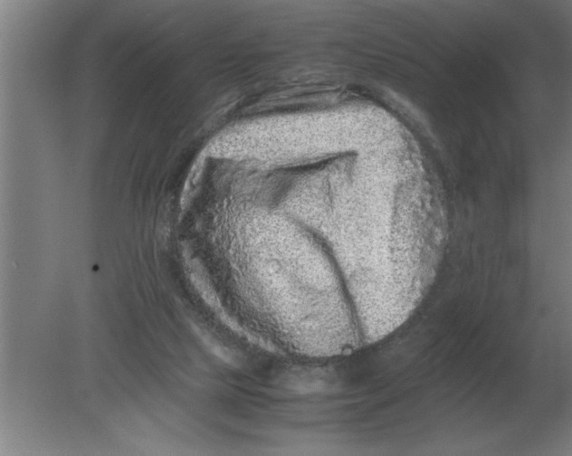 X0000080110065200612301954