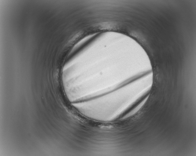 X0000080110066200612301954