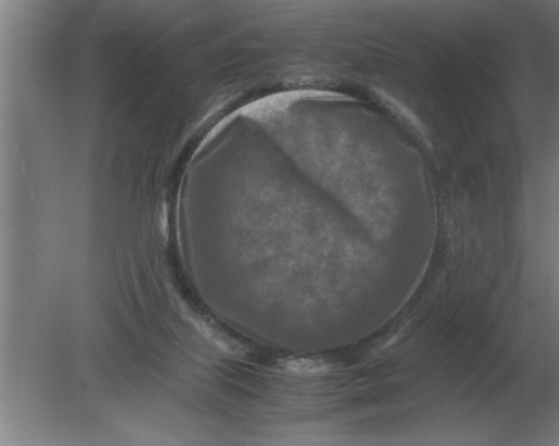 X0000080110067200612301954