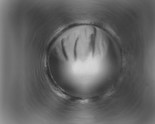 X0000080110068200612301954