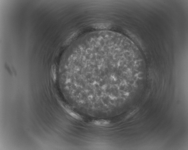 X0000080110069200612301954