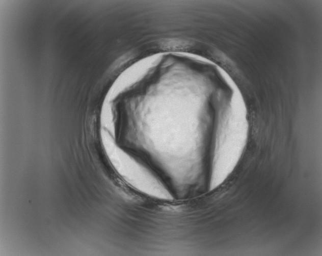 X0000080110071200612301954