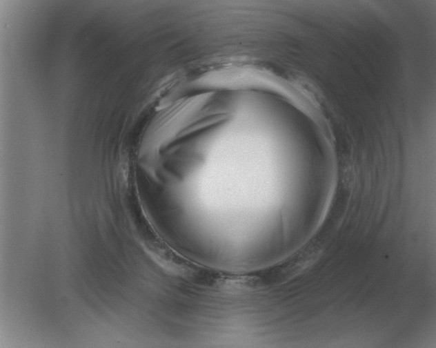 X0000080110072200612301954