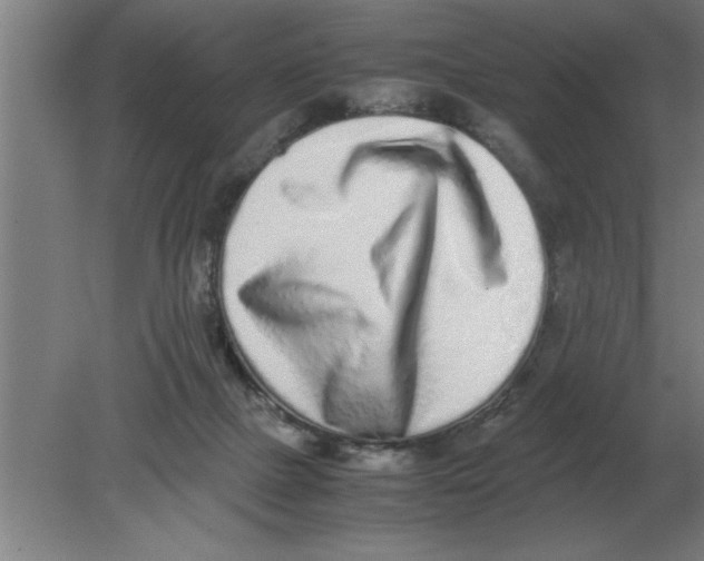 X0000080110073200612301954