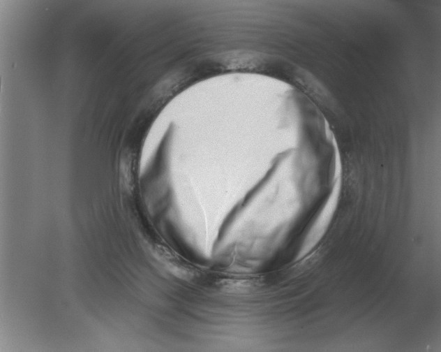 X0000080110074200612301954