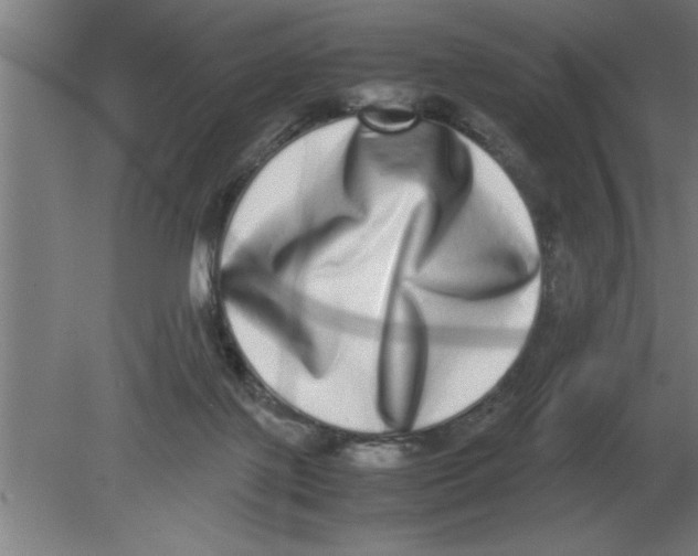 X0000080110075200612301954