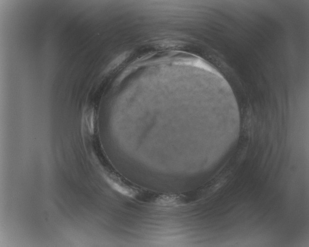 X0000080110076200612301954