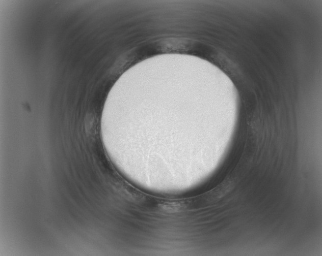 X0000080110079200612301954