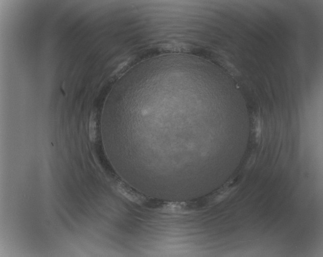 X0000080110080200612301955