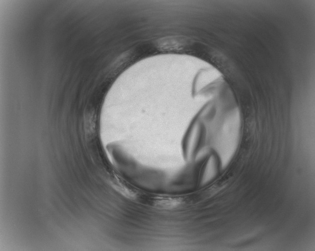 X0000080110081200612301955