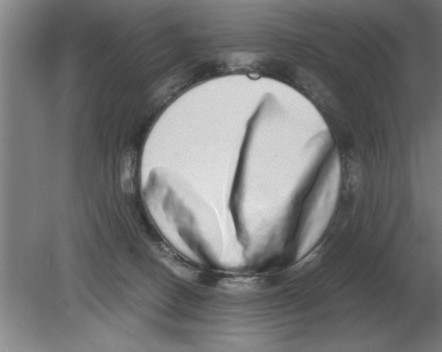 X0000080110082200612301955