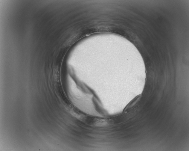 X0000080110083200612301955